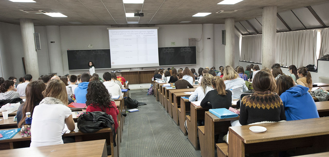 Informe provisional de Acreditación del Grado en Veterinaria