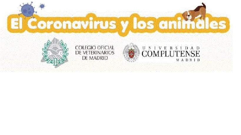 El coronavirus y los animales