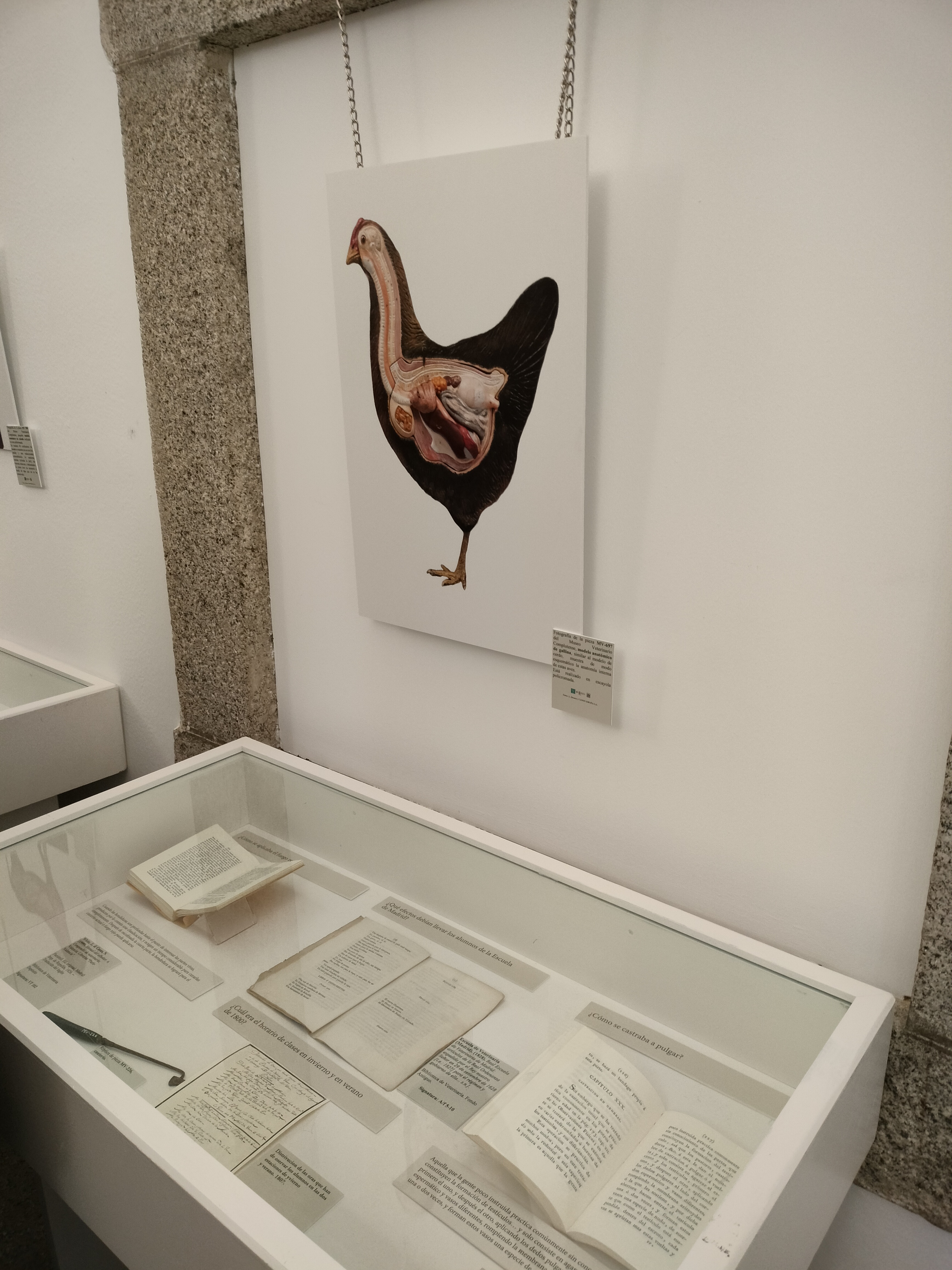 Inauguración de la exposición "Aprendiendo Veterinaria hace 150 años" - 4