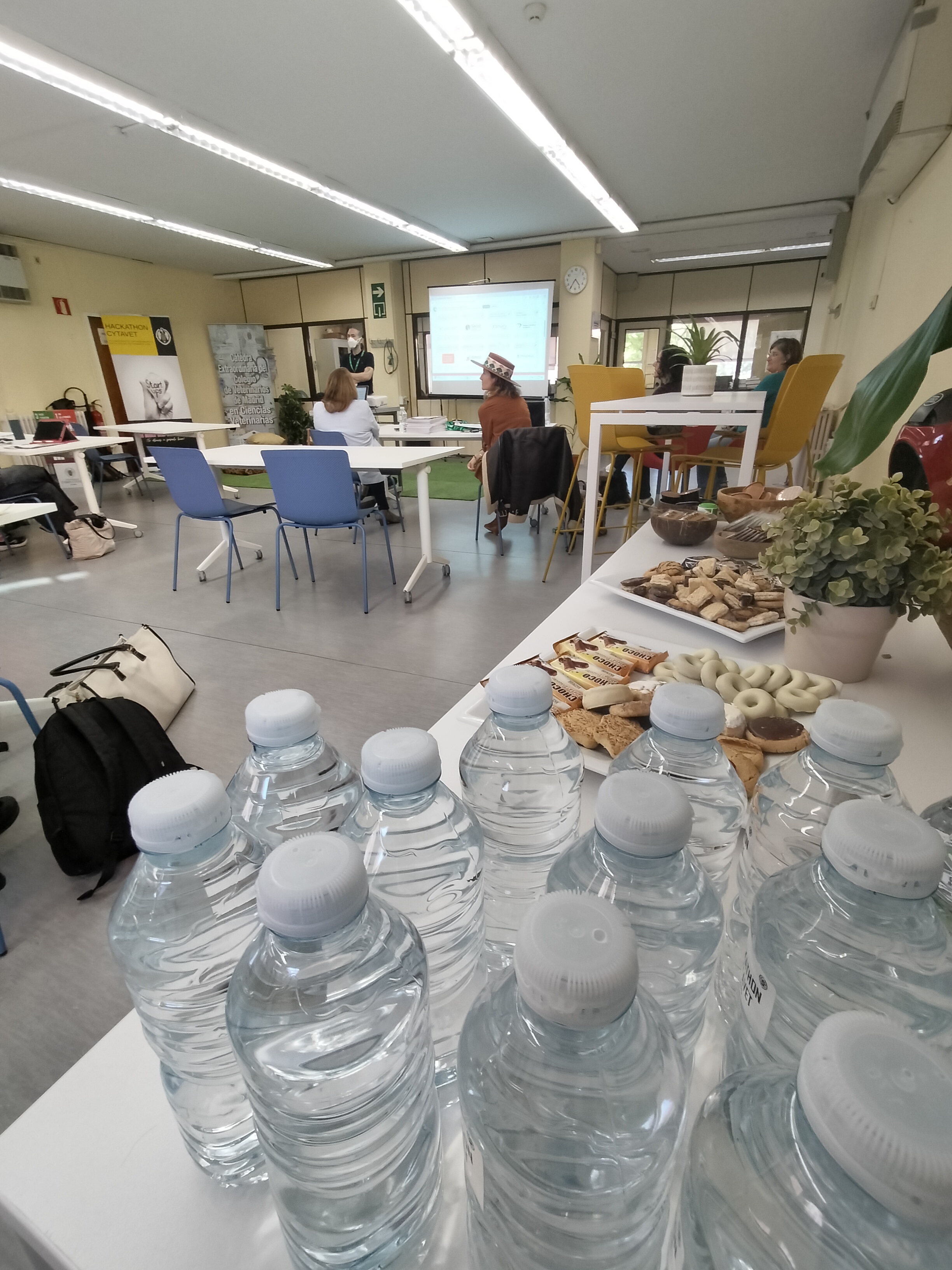 II Hackaton CyTAVET - 4