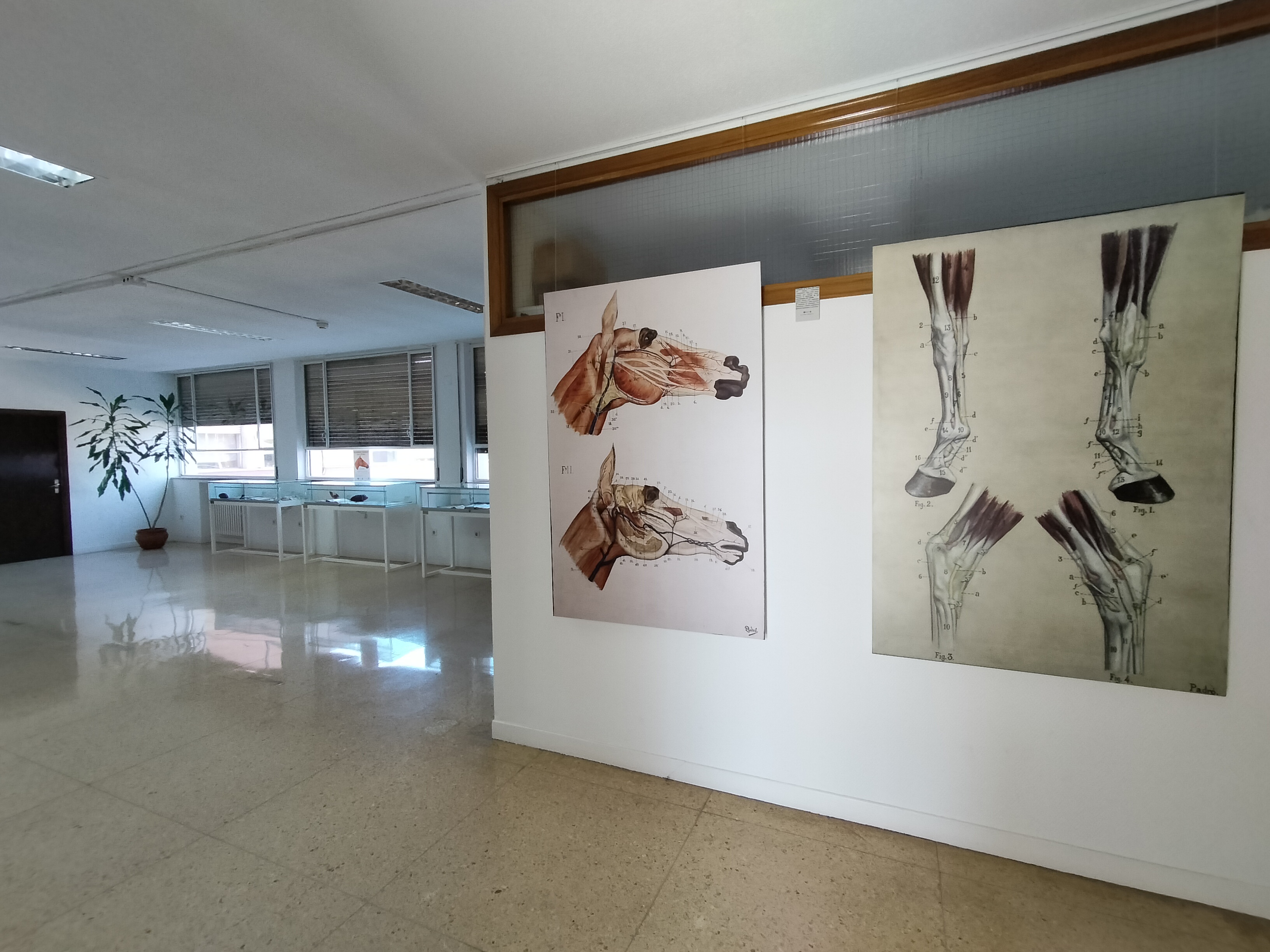 Inauguración en la Facultad de la exposición "Aprendiendo Veterinaria hace 150 años"