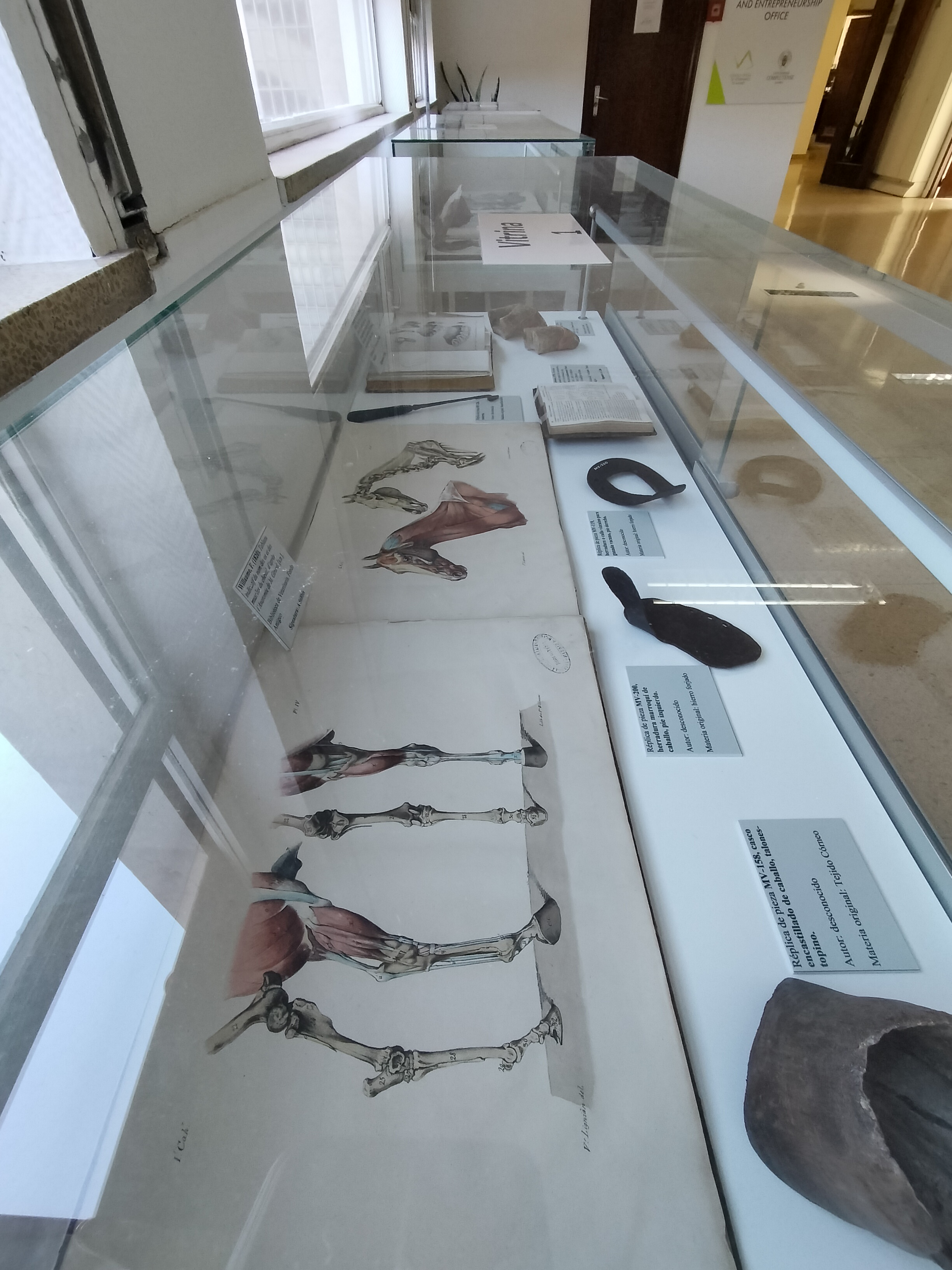 Inauguración en la Facultad de la exposición "Aprendiendo Veterinaria hace 150 años"