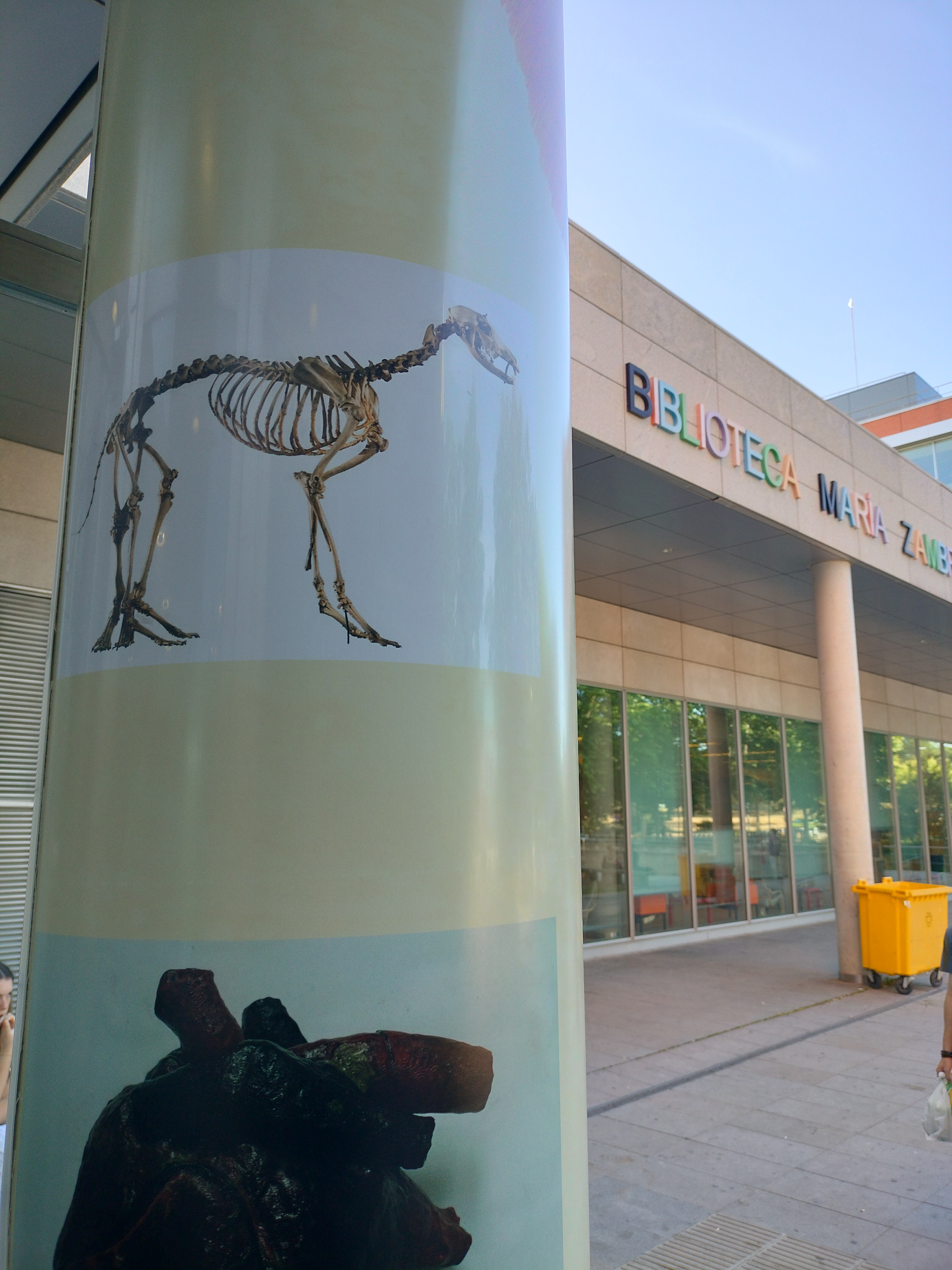 La exposición "Aprendiendo Veterinaria hace 150 años" llega a la Bibliotaca María Zambrano 