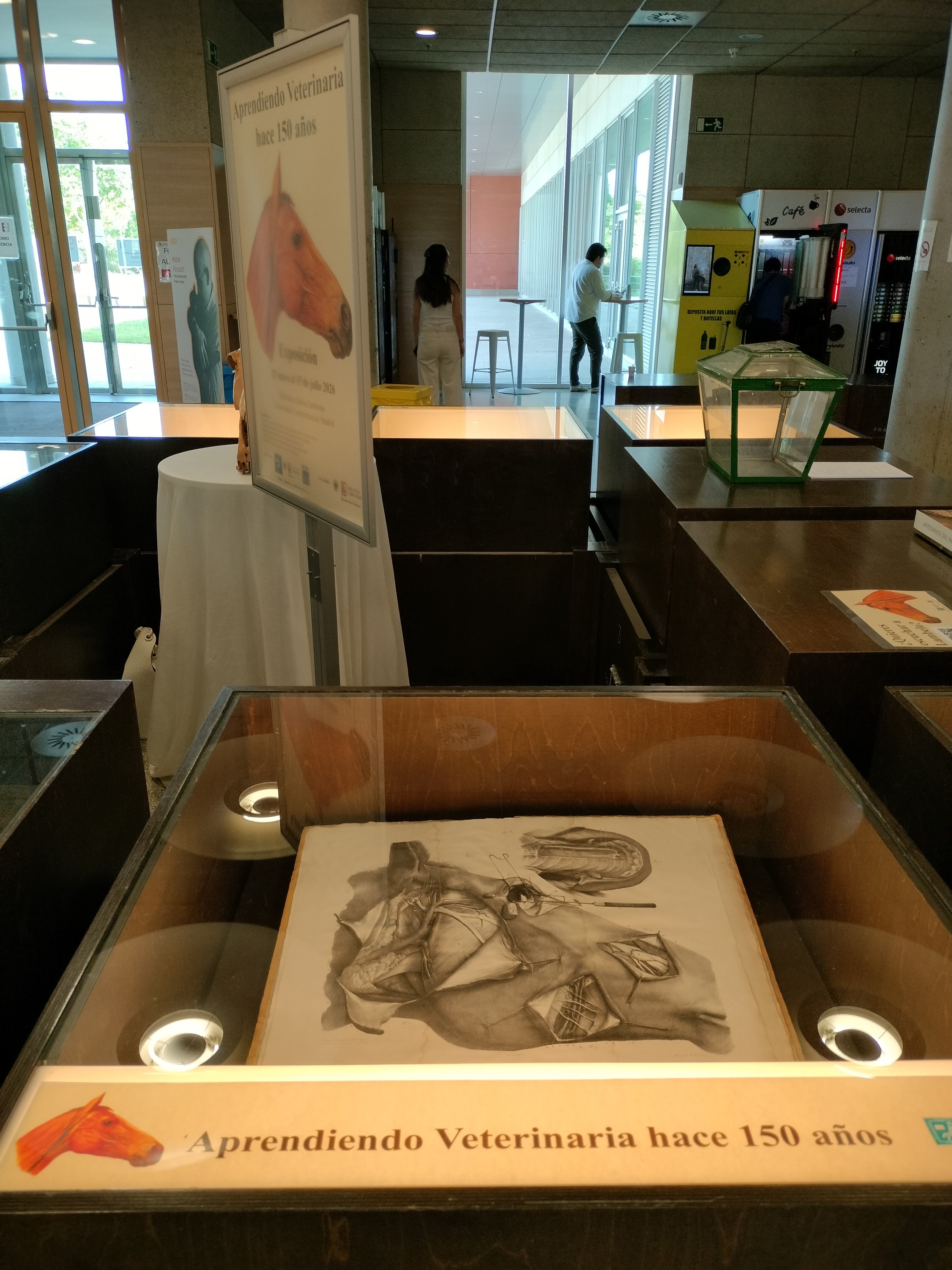 La exposición "Aprendiendo Veterinaria hace 150 años" llega a la Bibliotaca María Zambrano 