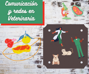 comunicación y redes en veterinaria