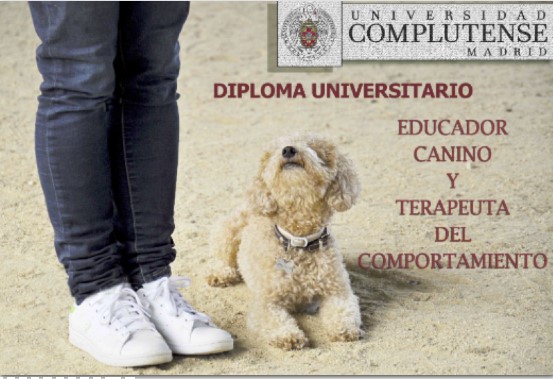 educador canino