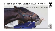 fisioterapia veterinaria