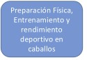 preparaciÓn fÍsica