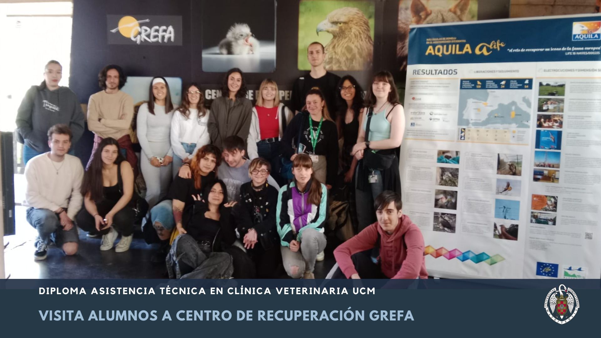 visita grefa